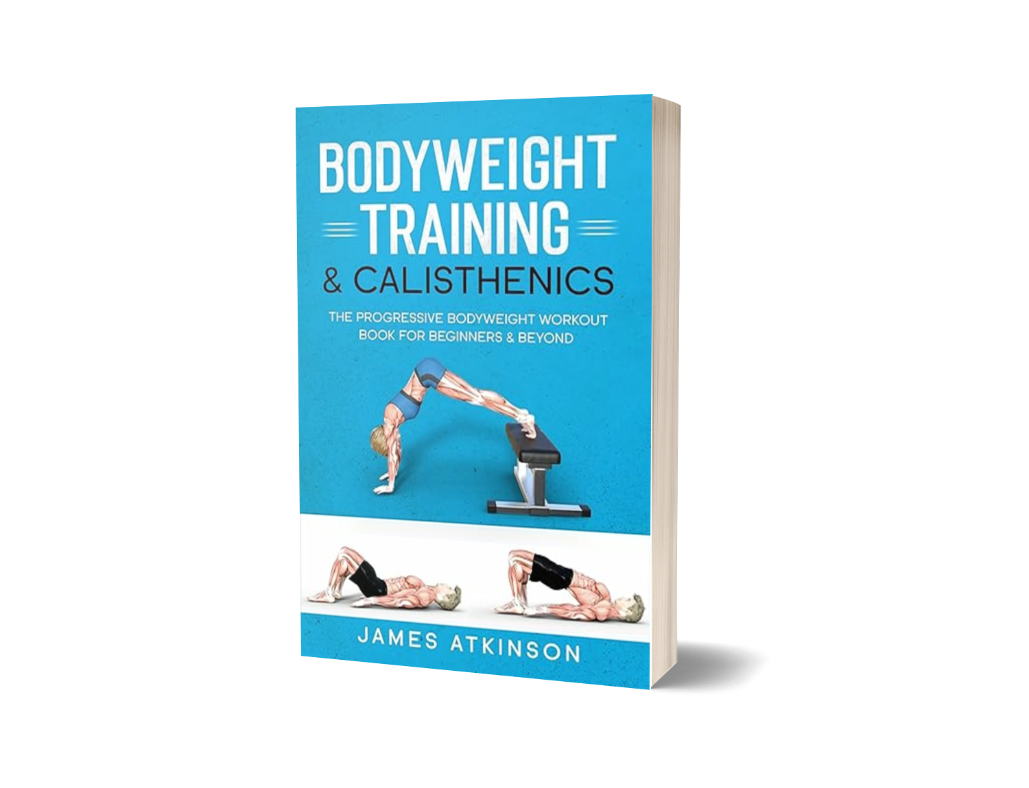 Bodyweight Training Program