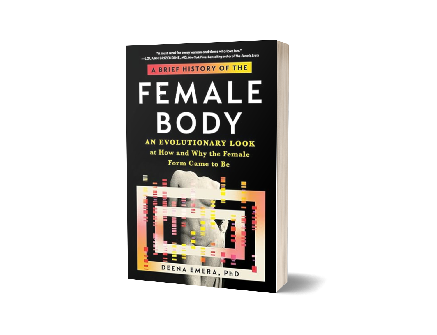 Understanding Female Body