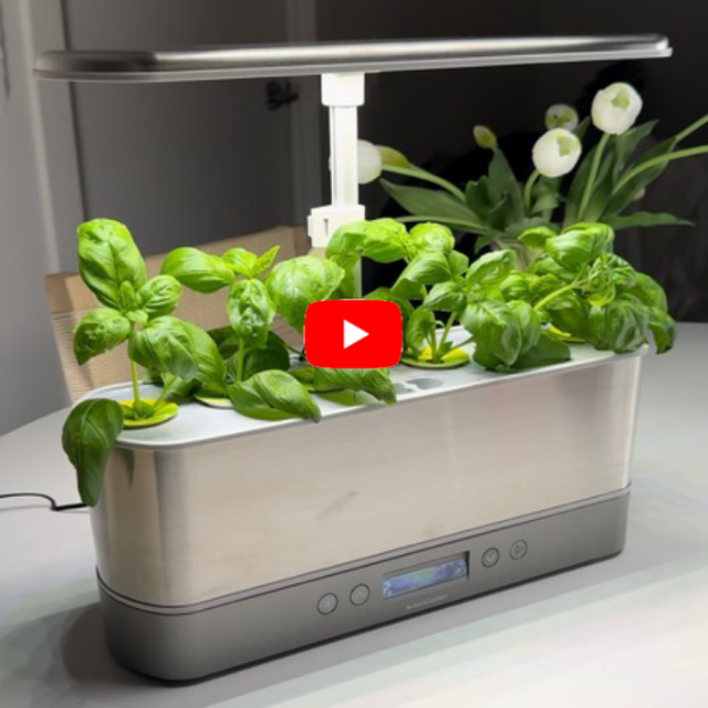 Hydroponic Indoor Herb Garden